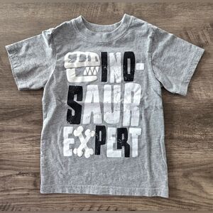 The Children's Place Boy's Gray Short Sleeve Dinosaur Expert T-shirt Size 4T